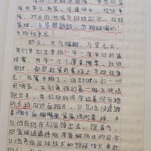 篮球训练的自我评价50字